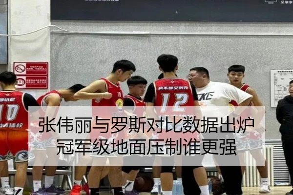 张伟丽与罗斯对比数据出炉 冠军级地面压制谁更强